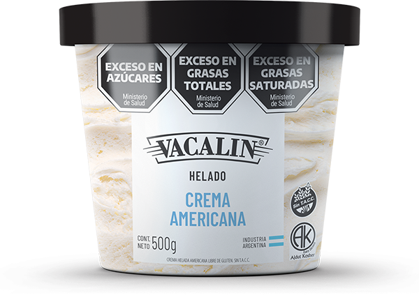 Helado de Crema Americana 500g