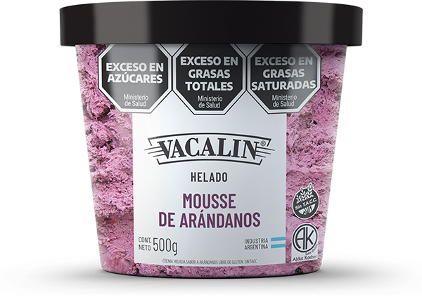 Helado de Mousse de Arandanos 500g