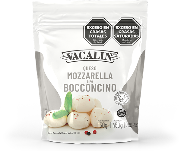 Mozzarella Bocconcino 450g