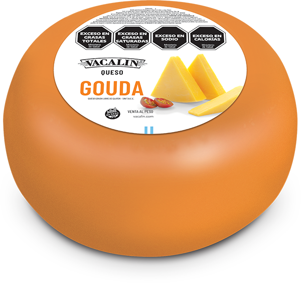 Gouda Horma