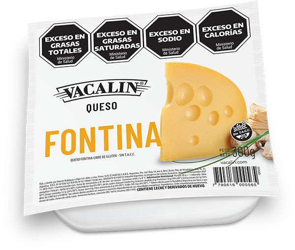 Fontina 300g