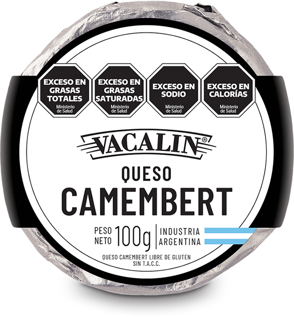 Camembert 100g