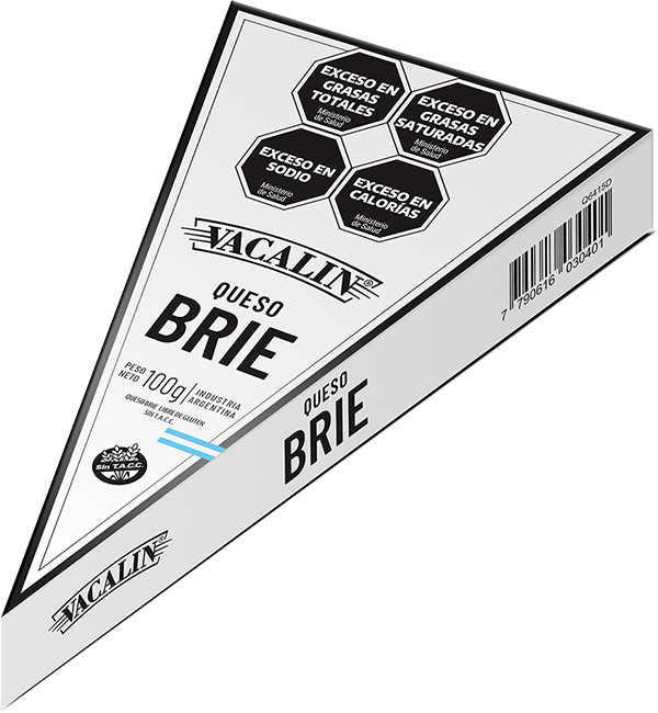 Brie 100g